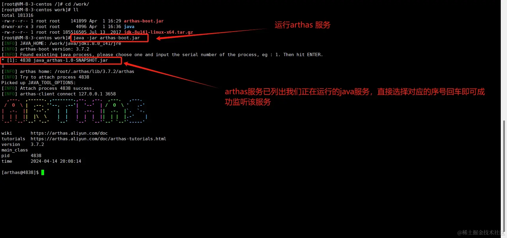 二、部署Arthas配图(2)