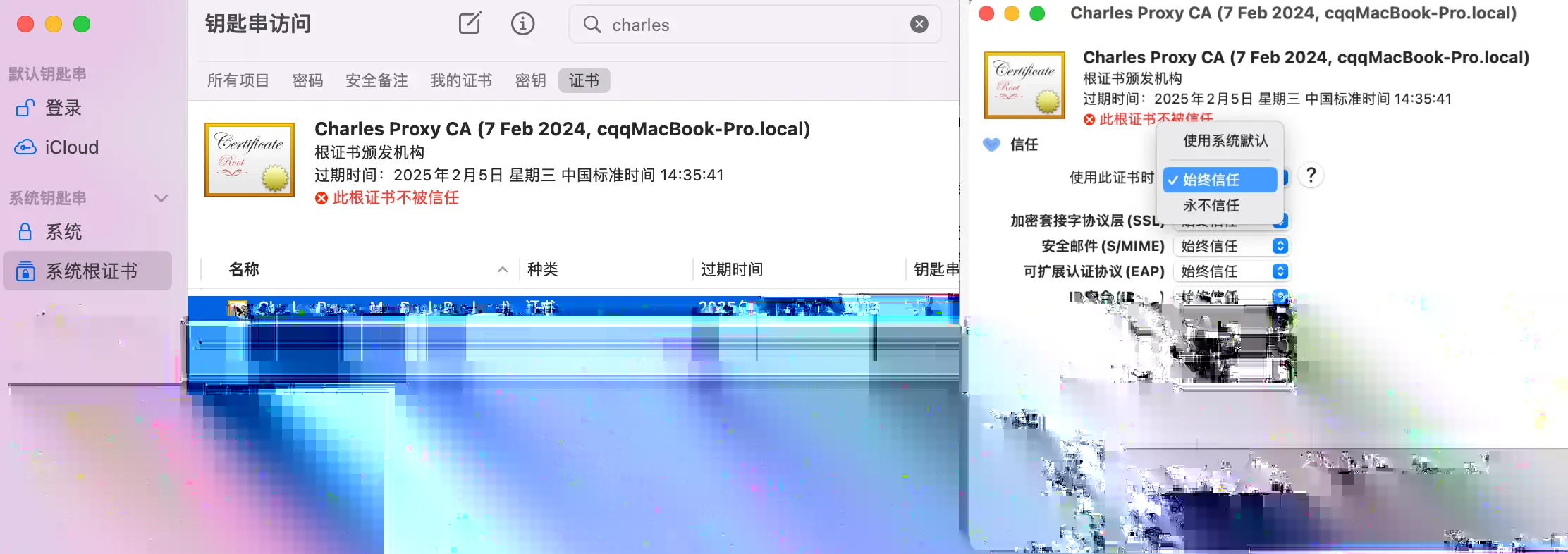 https的抓包配图（2）
