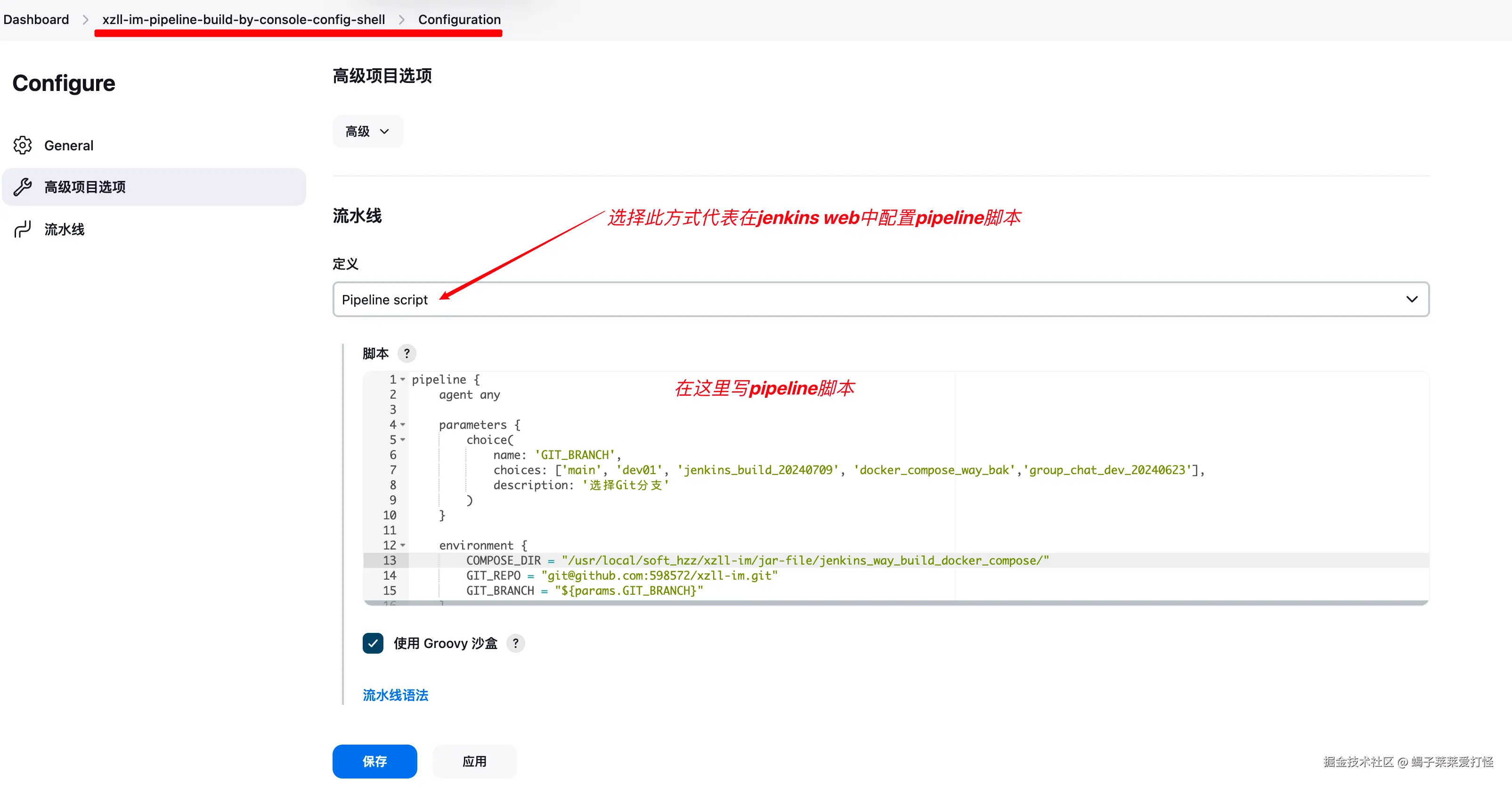 在Jenkins web页面配置声明式流水线脚本截图（3）