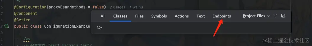 Search Everywhere（随处搜索）中的 Endpoints（端点）标签页配图（1）