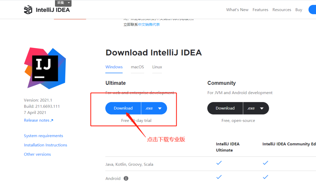 第一步: 下载最新的 IDEA 2021.1 版本安装包配图
