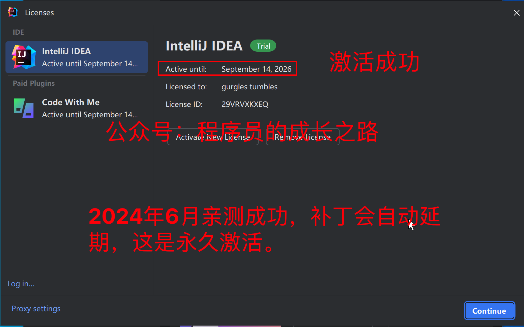 IDEA 2024.1 最新版破解激活教程，2024年亲测可用 — IDEA激活/激活码/注册码配图（2）