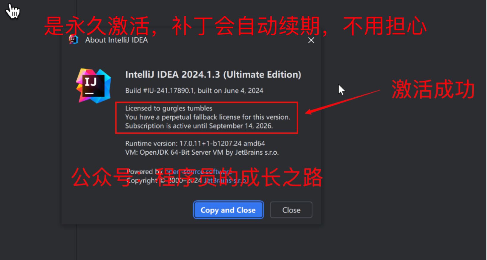 IDEA 2024.1 最新版破解激活教程，2024年亲测可用 — IDEA激活/激活码/注册码配图（3）